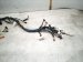 2021 Lexus Is300 Dash Instrument Wire Harness Rwd 86101 24800 Replacement 2021 Lexus Is300 Dash Instrument Wire Harness Rwd 86101 24800 Replacement thumbnail