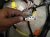 2021 Lexus Is300 Dash Instrument Wire Harness Rwd 86101 24800 Replacement 2021 Lexus Is300 Dash Instrument Wire Harness Rwd 86101 24800 Replacement thumbnail