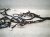 2021 Lexus Is300 Dash Instrument Wire Harness Rwd 86101 24800 Replacement 2021 Lexus Is300 Dash Instrument Wire Harness Rwd 86101 24800 Replacement thumbnail