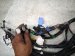 2021 Lexus Is300 Dash Instrument Wire Harness Rwd 86101 24800 Replacement 2021 Lexus Is300 Dash Instrument Wire Harness Rwd 86101 24800 Replacement thumbnail