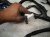 2021 Lexus Is300 Dash Instrument Wire Harness Rwd 86101 24800 Replacement 2021 Lexus Is300 Dash Instrument Wire Harness Rwd 86101 24800 Replacement thumbnail