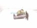 2000 Toyota Tacoma Brake Master Cylinder W/reservoir 47201 04030 Replacement 2000 Toyota Tacoma Brake Master Cylinder W/reservoir 47201 04030 Replacement thumbnail