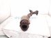 2000 Toyota Tacoma Catalytic Front Exhaust Pipe W/conv 2.4l 4x2 17410 0C030 Replacement 2000 Toyota Tacoma Catalytic Front Exhaust Pipe W/conv 2.4l 4x2 17410 0C030 Replacement thumbnail