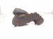 2000 Toyota Tacoma Air Intake Hose W/resonator 17880 0C010 Replacement 2000 Toyota Tacoma Air Intake Hose W/resonator 17880 0C010 Replacement thumbnail