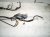 2016 Honda Accord Dash Instrument Wire Harness Sport 32117 T2A A43 Replacement 2016 Honda Accord Dash Instrument Wire Harness Sport 32117 T2A A43 Replacement thumbnail