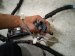2016 Honda Accord Dash Instrument Wire Harness Sport 32117 T2A A43 Replacement 2016 Honda Accord Dash Instrument Wire Harness Sport 32117 T2A A43 Replacement thumbnail