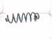 2025 Toyota Camry Strut / / Shock Absorber Rear Driver Coil Spring 2.5l Fwd 48231 33B30 Replacement 2025 Toyota Camry Strut / / Shock Absorber Rear Driver Coil Spring 2.5l Fwd 48231 33B30 Replacement thumbnail