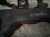 2018 Honda Odyssey Main Engine Wire Harness 3.5l At 32110 5MR A70 Replacement 2018 Honda Odyssey Main Engine Wire Harness 3.5l At 32110 5MR A70 Replacement thumbnail