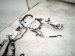 2015 Lexus Rx350 Dash Instrument Wire Harness Awd 82141 4D412 Replacement 2015 Lexus Rx350 Dash Instrument Wire Harness Awd 82141 4D412 Replacement thumbnail