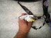 2015 Lexus Rx350 Dash Instrument Wire Harness Awd 82141 4D412 Replacement 2015 Lexus Rx350 Dash Instrument Wire Harness Awd 82141 4D412 Replacement thumbnail