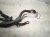 2026 Toyota Camry Engine Wire Harness 2.5l Hyb Fwd 82121 06R70 Replacement 2026 Toyota Camry Engine Wire Harness 2.5l Hyb Fwd 82121 06R70 Replacement thumbnail