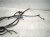 2026 Toyota Camry Engine Room Wire Harness 2.5l Hyb 82111 AQ040 Replacement 2026 Toyota Camry Engine Room Wire Harness 2.5l Hyb 82111 AQ040 Replacement thumbnail