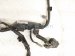 2019 Honda Civic Transmission Wire Harness 1.5t At 28150 5CG P00 Replacement 2019 Honda Civic Transmission Wire Harness 1.5t At 28150 5CG P00 Replacement thumbnail