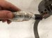 2019 Honda Civic Transmission Wire Harness 1.5t At 28150 5CG P00 Replacement 2019 Honda Civic Transmission Wire Harness 1.5t At 28150 5CG P00 Replacement thumbnail
