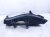 2013 Lexus Gs350 Front Passenger Radiator Air Guide Duct 53285 30120 Replacement 2013 Lexus Gs350 Front Passenger Radiator Air Guide Duct 53285 30120 Replacement thumbnail