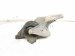 2016 Honda Accord Engine/motor Rear Engine Mount Bracket 2.4l 50610 T2F A01 Replacement 2016 Honda Accord Engine/motor Rear Engine Mount Bracket 2.4l 50610 T2F A01 Replacement thumbnail