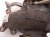 2023 Volkswagen Taos Exhaust Manifold Turbocharger 05E 145 702 A Replacement 2023 Volkswagen Taos Exhaust Manifold Turbocharger 05E 145 702 A Replacement thumbnail