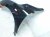 2018 Honda Civic Front Driver Fender Black 60261 TGG A00ZZ Replacement 2018 Honda Civic Front Driver Fender Black 60261 TGG A00ZZ Replacement thumbnail