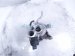 2018 Honda Civic Turbocharger 158k 18900 5AA A01 Replacement 2018 Honda Civic Turbocharger 158k 18900 5AA A01 Replacement thumbnail