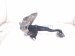 2018 Honda Civic Brake Pedal Assy 1.5l Fwd 46600 TBA A82 Replacement 2018 Honda Civic Brake Pedal Assy 1.5l Fwd 46600 TBA A82 Replacement thumbnail