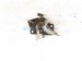 2016 Honda Accord Hood Latch / Lock Assy 74120 T2A A01 Replacement 2016 Honda Accord Hood Latch / Lock Assy 74120 T2A A01 Replacement thumbnail