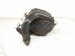 2019 Toyota C HR Intake Manifold 2.0l 17120 37031 Replacement 2019 Toyota C HR Intake Manifold 2.0l 17120 37031 Replacement thumbnail