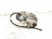2019 Toyota C HR Rear Passenger Brake Caliper 47830 F4030 Replacement 2019 Toyota C HR Rear Passenger Brake Caliper 47830 F4030 Replacement thumbnail
