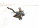 2019 Toyota C HR Hood Lock / Latch Assy 53510 10260 Replacement 2019 Toyota C HR Hood Lock / Latch Assy 53510 10260 Replacement thumbnail