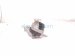 2020 Honda Pilot Engine/motor Passenger Engine Rubber Mount + Bracket 50820 TZ5 A02 Replacement 2020 Honda Pilot Engine/motor Passenger Engine Rubber Mount + Bracket 50820 TZ5 A02 Replacement thumbnail