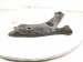2019 Toyota C HR Front Passenger Lower Control Arm 48068 10130 Replacement 2019 Toyota C HR Front Passenger Lower Control Arm 48068 10130 Replacement thumbnail
