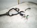 2022 Honda Odyssey Passenger Engine Room Harness W/fuse 3.5l 32100 THR A42 Replacement 2022 Honda Odyssey Passenger Engine Room Harness W/fuse 3.5l 32100 THR A42 Replacement thumbnail