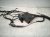 2022 Honda Odyssey Passenger Engine Room Harness W/fuse 3.5l 32100 THR A42 Replacement 2022 Honda Odyssey Passenger Engine Room Harness W/fuse 3.5l 32100 THR A42 Replacement thumbnail