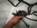 2022 Honda Odyssey Passenger Engine Room Harness W/fuse 3.5l 32100 THR A42 Replacement 2022 Honda Odyssey Passenger Engine Room Harness W/fuse 3.5l 32100 THR A42 Replacement thumbnail