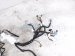 2018 Honda Civic Dash Instrument Wire Harness Ex 32117 TGG L61 Replacement 2018 Honda Civic Dash Instrument Wire Harness Ex 32117 TGG L61 Replacement thumbnail