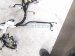 2018 Honda Civic Dash Instrument Wire Harness Ex 32117 TGG L61 Replacement 2018 Honda Civic Dash Instrument Wire Harness Ex 32117 TGG L61 Replacement thumbnail