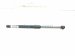 2020 Hyundai Veloster Rear Driver Tailgate Strut / Lift Cyl 81771 J3010 Replacement 2020 Hyundai Veloster Rear Driver Tailgate Strut / Lift Cyl 81771 J3010 Replacement thumbnail