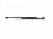 2020 Hyundai Veloster Rear Passenger Tailgate Strut / Shock 81781 J3010 Replacement 2020 Hyundai Veloster Rear Passenger Tailgate Strut / Shock 81781 J3010 Replacement thumbnail