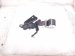 2018 Honda Civic Rear Passenger Seat Belt Retractor Black 04824 TGG A01ZA Replacement 2018 Honda Civic Rear Passenger Seat Belt Retractor Black 04824 TGG A01ZA Replacement thumbnail