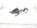 2018 Honda Civic Rear Passenger Seat Belt Retractor Black 04824 TGG A01ZA Replacement 2018 Honda Civic Rear Passenger Seat Belt Retractor Black 04824 TGG A01ZA Replacement thumbnail