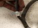 2020 Hyundai Veloster Rear Bumper Wiring Harness 91880 K9030 Replacement 2020 Hyundai Veloster Rear Bumper Wiring Harness 91880 K9030 Replacement thumbnail