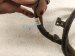 2020 Hyundai Veloster Rear Bumper Wiring Harness 91880 K9030 Replacement 2020 Hyundai Veloster Rear Bumper Wiring Harness 91880 K9030 Replacement thumbnail