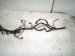 2022 Honda Odyssey Main Engine Wire Harness 3.5l At 32110 5MR A70 Replacement 2022 Honda Odyssey Main Engine Wire Harness 3.5l At 32110 5MR A70 Replacement thumbnail