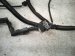 2022 Honda Odyssey Main Engine Wire Harness 3.5l At 32110 5MR A70 Replacement 2022 Honda Odyssey Main Engine Wire Harness 3.5l At 32110 5MR A70 Replacement thumbnail