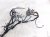 2021 Acura TLX Dash Instrument Wire Harness Aspec 32117 TGV A20 Replacement 2021 Acura TLX Dash Instrument Wire Harness Aspec 32117 TGV A20 Replacement thumbnail