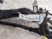 2021 Acura TLX Dash Instrument Wire Harness Aspec 32117 TGV A20 Replacement 2021 Acura TLX Dash Instrument Wire Harness Aspec 32117 TGV A20 Replacement thumbnail