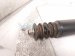 2025 Toyota Tacoma Strut / Spring / Rear Driver Shock Absorber 48530 8Z280 Replacement 2025 Toyota Tacoma Strut / Spring / Rear Driver Shock Absorber 48530 8Z280 Replacement thumbnail