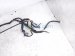 2017 Honda Accord Dash Instrument Wire Harness Lx 32117 T2A A03 Replacement 2017 Honda Accord Dash Instrument Wire Harness Lx 32117 T2A A03 Replacement thumbnail