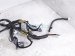 2017 Honda Accord Dash Instrument Wire Harness Lx 32117 T2A A03 Replacement 2017 Honda Accord Dash Instrument Wire Harness Lx 32117 T2A A03 Replacement thumbnail