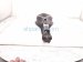 2025 Toyota Camry Rear Driver Spring Seat Lower Control Arm 48730 06120 Replacement 2025 Toyota Camry Rear Driver Spring Seat Lower Control Arm 48730 06120 Replacement thumbnail