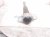 2025 Toyota Camry Strut / Spring / Rear Passenger Shock Absorber 2.5l Fwd 48530 8Z316 Replacement 2025 Toyota Camry Strut / Spring / Rear Passenger Shock Absorber 2.5l Fwd 48530 8Z316 Replacement thumbnail
